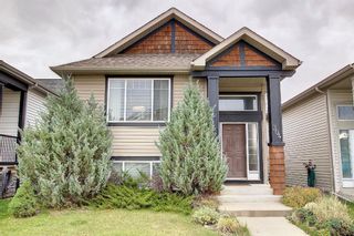 Main Photo: 304 Sagewood Park SW: Airdrie Detached for sale : MLS®# A2003544