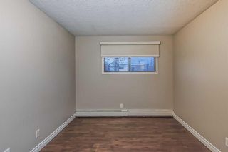 Photo 28: 305 1829 11 Avenue SW in Calgary: Sunalta Apartment for sale : MLS®# A2107449