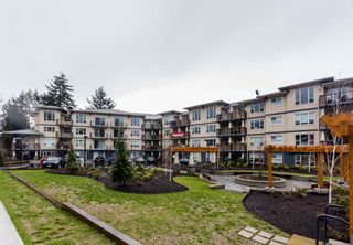 Main Photo: 411 2565 CAMPBELL AVENUE in Abbotsford: Central Abbotsford Condo for sale : MLS®# R2185831