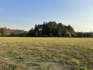 Photo 6: 4387 GLADWIN ROAD in Abbotsford: Vacant Land for sale : MLS®# R2847385