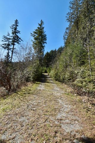 Photo 14: 37 Lots WITHERBY BEACH Road in Gibsons: Gibsons & Area Land for sale in "WITHERBY BEACH PROPERTIES" (Sunshine Coast)  : MLS®# R2857143