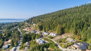 Photo 5: 562 BALLANTREE Road in West Vancouver: Glenmore House for sale : MLS®# R2862439