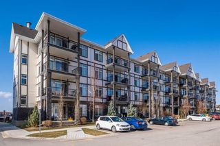 Photo 20: 414 6703 New Brighton Avenue SE in Calgary: New Brighton Apartment for sale : MLS®# A1232876