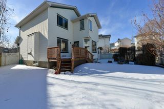 Photo 37: 30 Scotia Bay NW in Calgary: Scenic Acres Detached for sale : MLS®# A2031747
