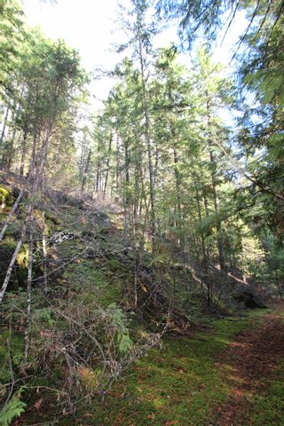 Photo 8: Lot 22 Vickers Trail: Anglemont Vacant Land for sale (North Shuswap)  : MLS®# 10243424