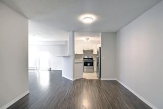 Photo 19: 1112 6635 25 Avenue NE in Calgary: Pineridge Apartment for sale : MLS®# A1177665