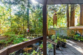 Photo 26: 2116 WILLIAM Avenue in North Vancouver: Westlynn House for sale in "Westlynn" : MLS®# R2732653