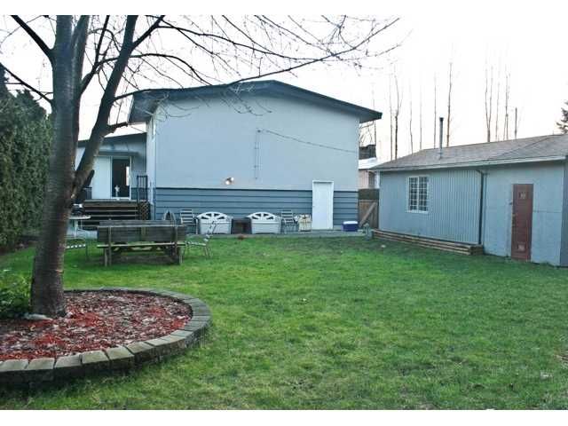 Photo 8: Photos: 1683 ANGELO AV in Port Coquitlam: Glenwood PQ House for sale : MLS®# V931726