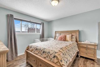 Photo 17: 108 Whitaker Close NE in Calgary: Whitehorn Detached for sale : MLS®# A2120682