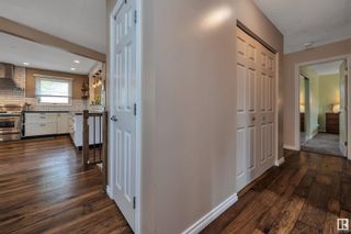 Photo 20: 179 Willow Drive: Wetaskiwin House for sale : MLS®# E4342513