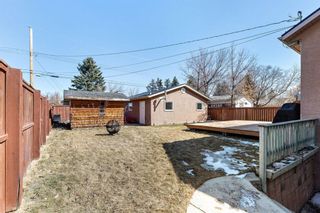 Photo 31: 7940 34 Avenue NW in Calgary: Bowness Detached for sale : MLS®# A1084792