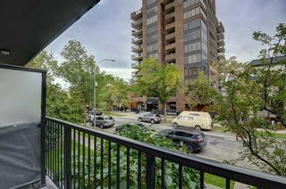 Photo 17: 203 1015 14 Avenue SW in Calgary: Beltline Apartment for sale : MLS®# A2081680