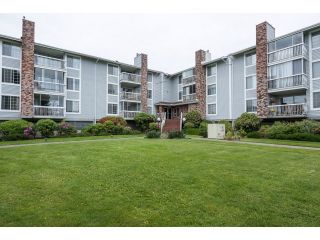 Photo 1: 225 5379 205 Street in Langley: Langley City Condo for sale in "Hertiage Manor" : MLS®# R2070301
