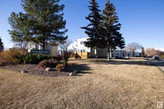 Photo 1: 7266 MILL WOODS Road S in Edmonton: Zone 29 Multi-Family Commercial for sale : MLS®# E4331811