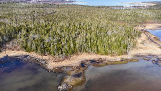 Photo 6: Lot West Sable in Little Harbour: 407-Shelburne County Vacant Land for sale (South Shore)  : MLS®# 202206571