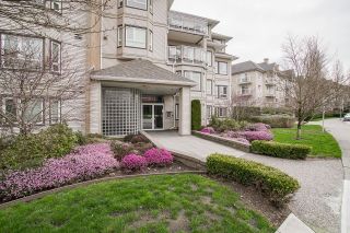 Photo 1: 317 8142 120A Street in Surrey: Queen Mary Park Surrey Condo for sale in "STERLING COURT" : MLS®# R2710890