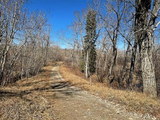 Photo 12: 96 Street  E: Rural Foothills County Land for sale : MLS®# A1094365
