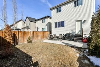 Photo 29: 368 Copperstone Grove SE in Calgary: Copperfield Detached for sale : MLS®# A1084399