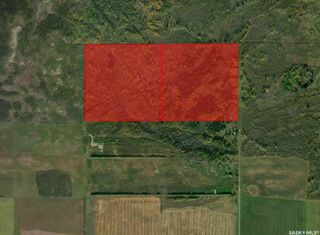 Photo 3: Watson land in Torch River: Lot/Land for sale (Torch River Rm No. 488)  : MLS®# SK909033