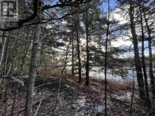 Photo 13: Lot 24 Domino Drive in Westfield: Vacant Land for sale : MLS®# 202325277
