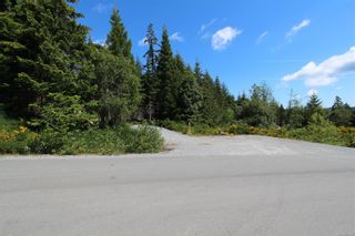 Photo 18: LOT 2 Olympic Dr in Shawnigan Lake: ML Shawnigan Land for sale (Malahat & Area)  : MLS®# 919124