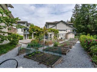 Photo 19: 35 19250 65 AVENUE in Surrey: Clayton Townhouse for sale (Cloverdale)  : MLS®# R2374516