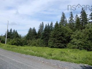 Photo 6: 15.5 acres Lairg Road in New Lairg: 108-Rural Pictou County Vacant Land for sale (Northern Region)  : MLS®# 202226624