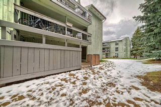 Photo 35: 518 10120 Brookpark Boulevard SW in Calgary: Braeside Apartment for sale : MLS®# A2128653