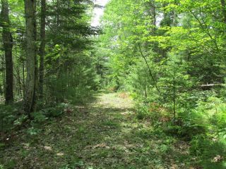 Photo 29: 1913 Bishopville Road in Bishopville: Kings County Farm for sale (Annapolis Valley)  : MLS®# 202128606