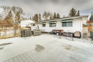 Photo 29: 91 Cumberland Drive NW in Calgary: Cambrian Heights Detached for sale : MLS®# A2020911