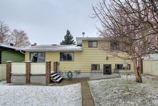 Photo 46: 140 Thames Close NW in Calgary: Thorncliffe Detached for sale : MLS®# A1097862
