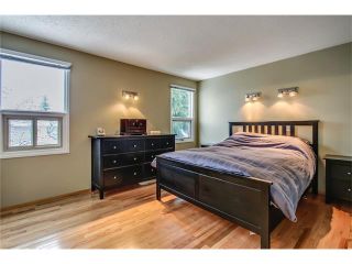 Photo 29: SOLD in 1 Day - Beautiful Strathcona Home By Steven Hill of Sotheby's International Realty