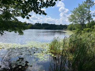 Photo 3: Lot 8 King Fisher Lane in Masons Beach: 405-Lunenburg County Vacant Land for sale (South Shore)  : MLS®# 202315855