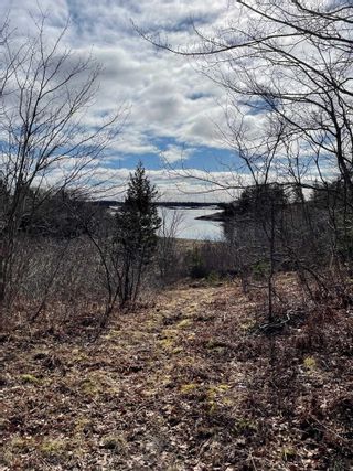 Photo 16: 70 Stonehurst Road in Blue Rocks: 405-Lunenburg County Vacant Land for sale (South Shore)  : MLS®# 202205228