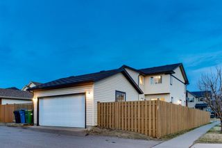 Photo 41: 182 Elgin Manor SE in Calgary: McKenzie Towne Detached for sale : MLS®# A1244559