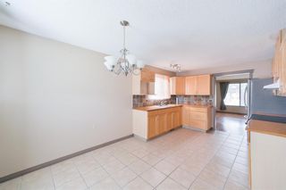 Photo 4: 52 Appletree Road in Calgary: Applewood Park Detached for sale : MLS®# A1216813