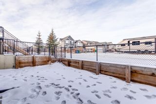 Photo 34: 1603 1086 Williamstown Boulevard NW: Airdrie Row/Townhouse for sale : MLS®# A2017098