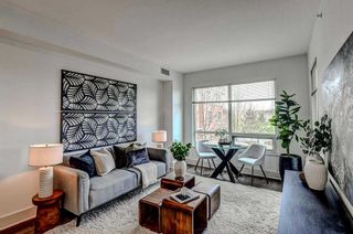 Photo 12: 314 46 9 Street NE in Calgary: Bridgeland/Riverside Apartment for sale : MLS®# A2128255