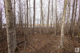Photo 27: Hwy 2 Twp Road 670: Rural Athabasca County Vacant Lot/Land for sale : MLS®# E4382679