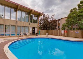 Photo 18: 201 816 89 Avenue SW in Calgary: Haysboro Apartment for sale : MLS®# A2066246