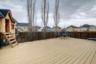 Photo 35: 42 Martha's Place NE in Calgary: Martindale Detached for sale : MLS®# A1203150