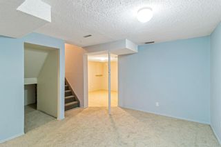 Photo 23: 63 Erin Crescent SE in Calgary: Erin Woods Detached for sale : MLS®# A1143945