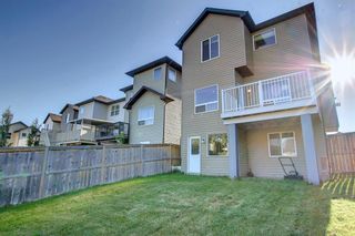 Photo 47: 118 Kincora Glen Mews NW in Calgary: Kincora Detached for sale : MLS®# A1246557