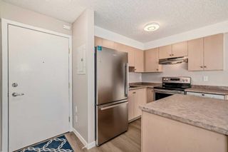 Photo 6: 209 1717 60 Street SE in Calgary: Red Carpet Apartment for sale : MLS®# A2133379