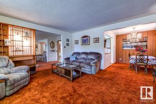 Photo 7: 11207 52 Street in Edmonton: Zone 09 House for sale : MLS®# E4318853