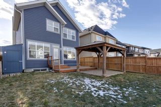 Photo 42: 40 Masters Terrace SE in Calgary: Mahogany Detached for sale : MLS®# A2107239