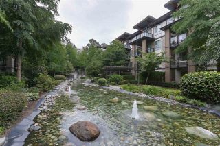 Photo 17: 106 7488 BYRNEPARK Walk in Burnaby: South Slope Condo for sale in "GREEN BY ADERA" (Burnaby South)  : MLS®# R2385440