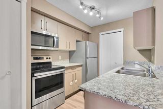 Photo 1: 1205 4641 128 Avenue NE in Calgary: Skyview Ranch Apartment for sale : MLS®# A2124439