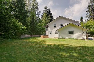 Photo 12: 25990 116TH Avenue in Maple Ridge: Websters Corners House for sale : MLS®# V1097441
