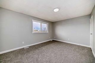 Photo 21: 53 Templemont Drive NE in Calgary: Temple Semi Detached (Half Duplex) for sale : MLS®# A2135306
